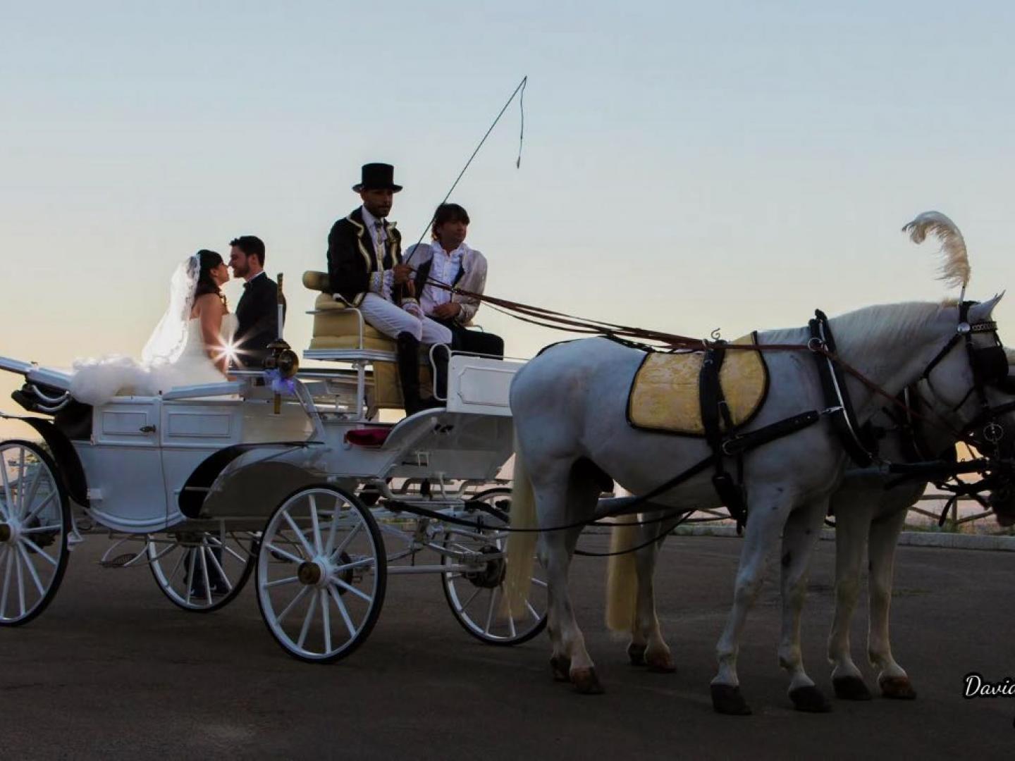 Elenco Auto per Matrimoni